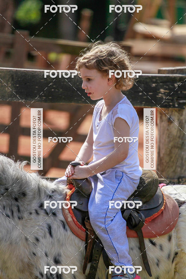 Buy your photos of the eventBeit Camp 2018 - 2 a 6 de julho - K3 a G5 on Fotop