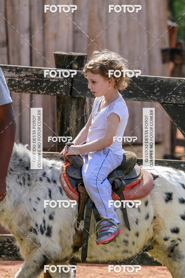 Buy your photos of the eventBeit Camp 2018 - 2 a 6 de julho - K3 a G5 on Fotop