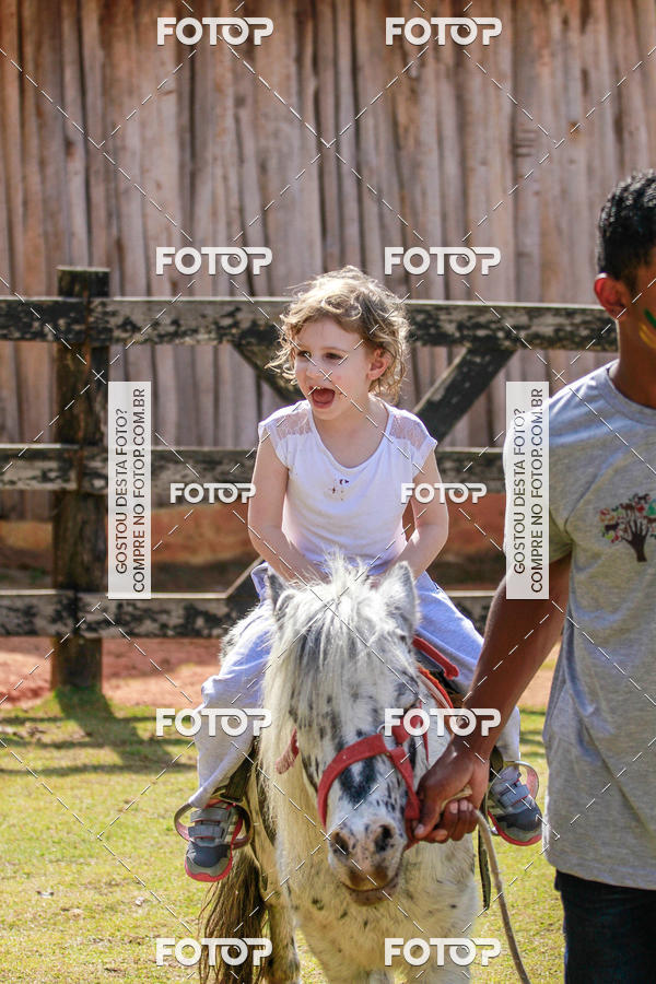 Buy your photos of the eventBeit Camp 2018 - 2 a 6 de julho - K3 a G5 on Fotop