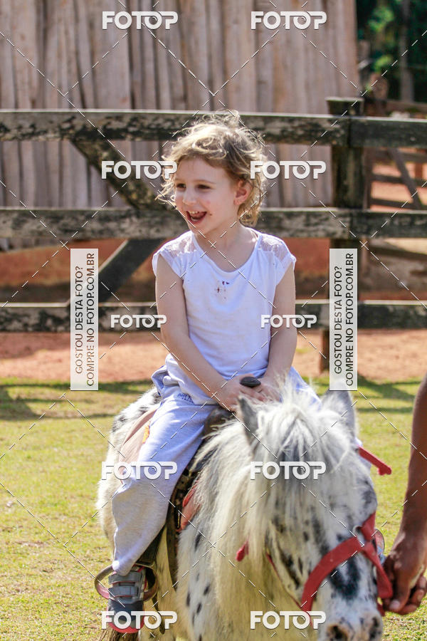 Buy your photos of the eventBeit Camp 2018 - 2 a 6 de julho - K3 a G5 on Fotop