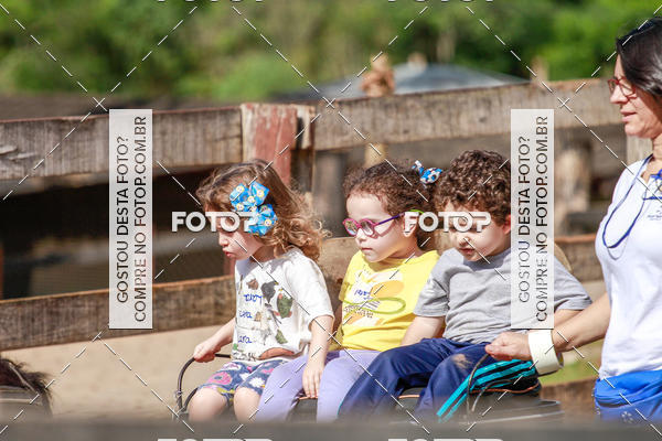 Buy your photos of the eventBeit Camp 2018 - 2 a 6 de julho - K3 a G5 on Fotop