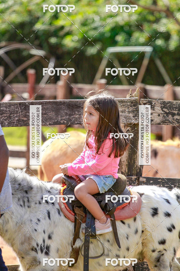 Buy your photos of the eventBeit Camp 2018 - 2 a 6 de julho - K3 a G5 on Fotop