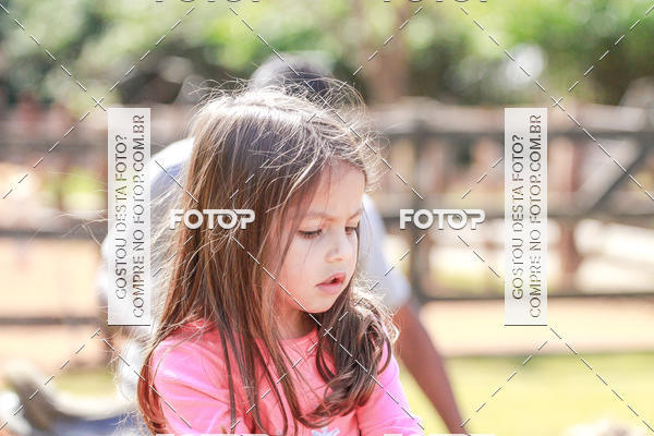 Buy your photos of the eventBeit Camp 2018 - 2 a 6 de julho - K3 a G5 on Fotop