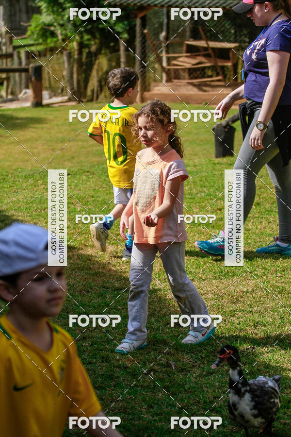 Buy your photos of the eventBeit Camp 2018 - 2 a 6 de julho - K3 a G5 on Fotop