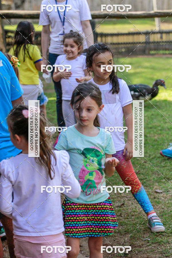 Buy your photos of the eventBeit Camp 2018 - 2 a 6 de julho - K3 a G5 on Fotop