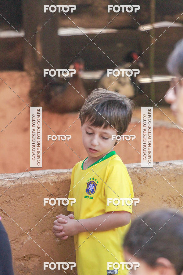 Buy your photos of the eventBeit Camp 2018 - 2 a 6 de julho - K3 a G5 on Fotop