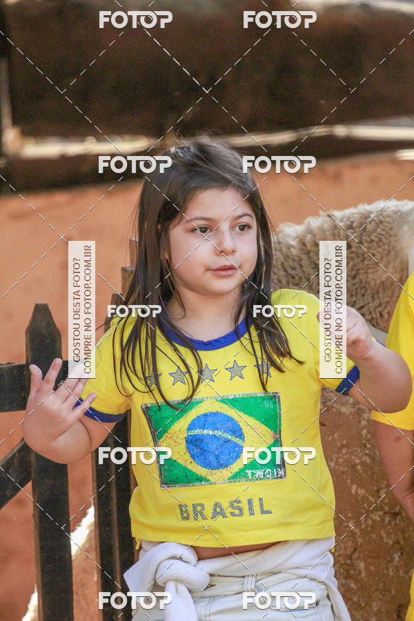 Buy your photos of the eventBeit Camp 2018 - 2 a 6 de julho - K3 a G5 on Fotop