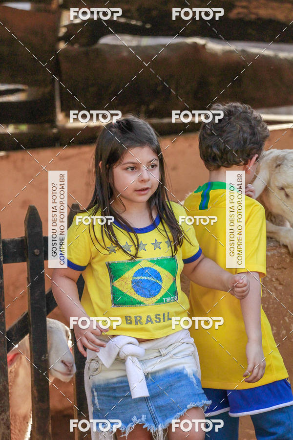 Buy your photos of the eventBeit Camp 2018 - 2 a 6 de julho - K3 a G5 on Fotop