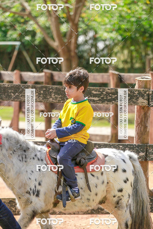 Buy your photos of the eventBeit Camp 2018 - 2 a 6 de julho - K3 a G5 on Fotop