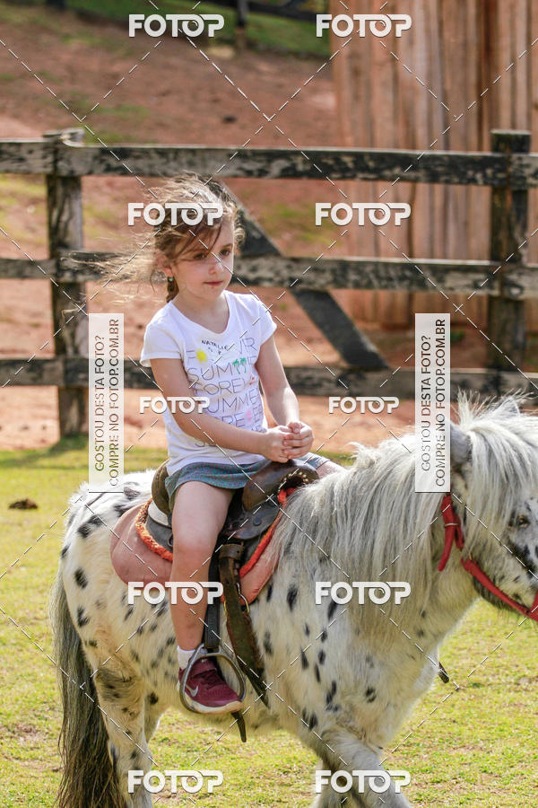 Buy your photos of the eventBeit Camp 2018 - 2 a 6 de julho - K3 a G5 on Fotop