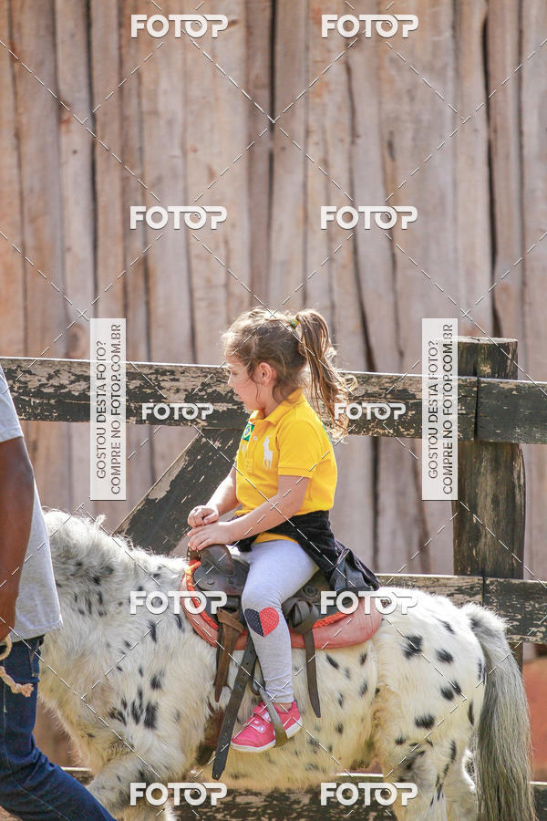 Buy your photos of the eventBeit Camp 2018 - 2 a 6 de julho - K3 a G5 on Fotop