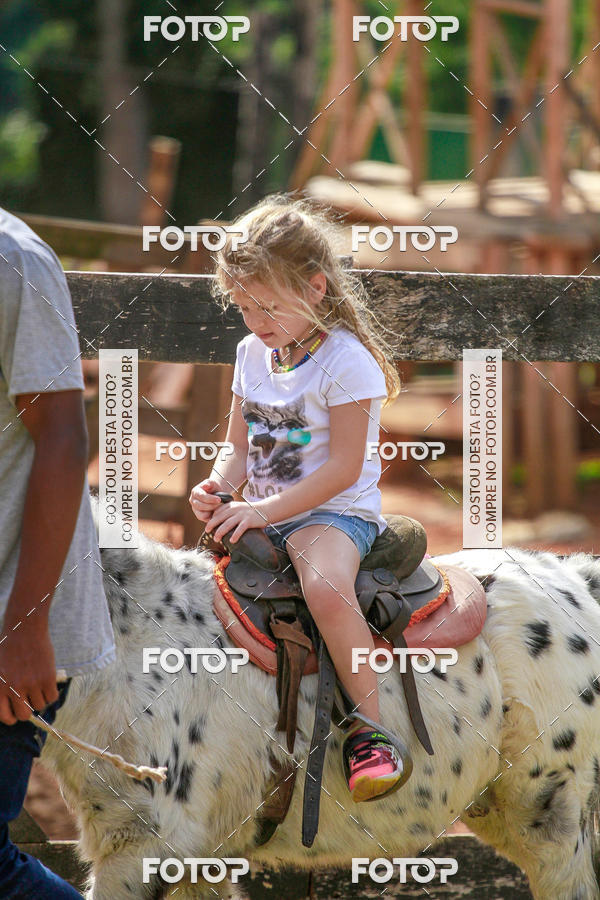 Buy your photos of the eventBeit Camp 2018 - 2 a 6 de julho - K3 a G5 on Fotop