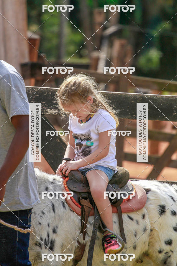 Buy your photos of the eventBeit Camp 2018 - 2 a 6 de julho - K3 a G5 on Fotop