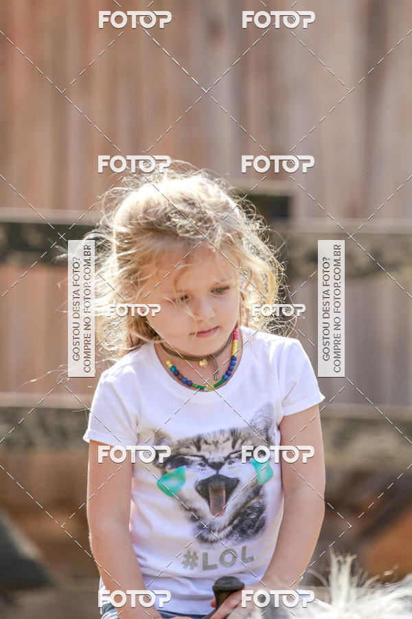 Buy your photos of the eventBeit Camp 2018 - 2 a 6 de julho - K3 a G5 on Fotop