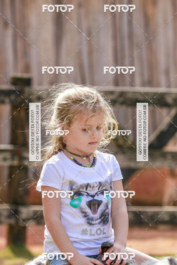 Buy your photos of the eventBeit Camp 2018 - 2 a 6 de julho - K3 a G5 on Fotop