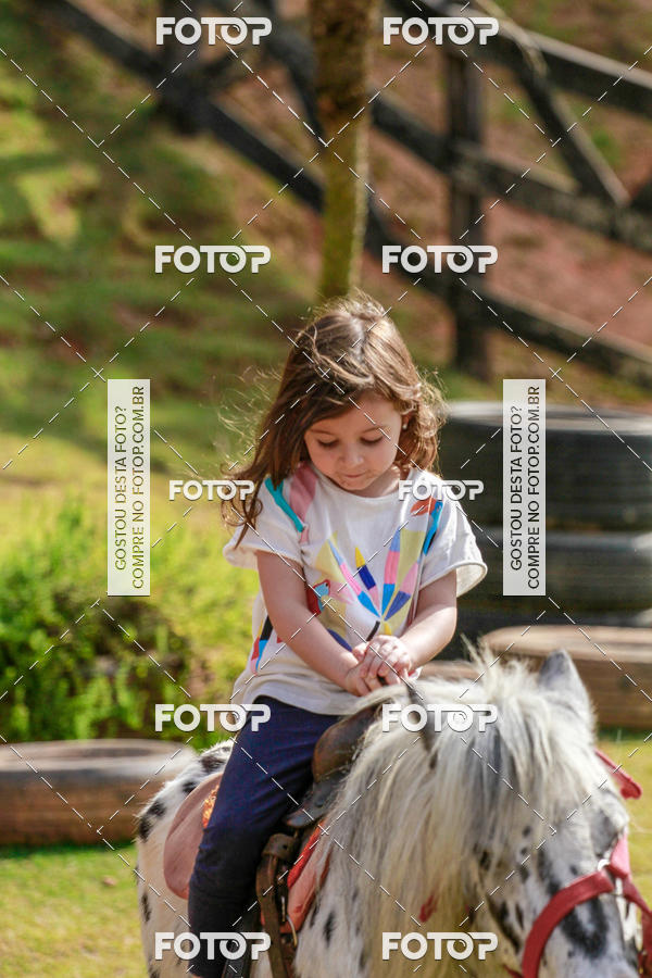 Buy your photos of the eventBeit Camp 2018 - 2 a 6 de julho - K3 a G5 on Fotop