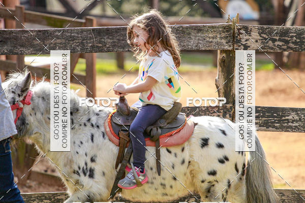 Buy your photos of the eventBeit Camp 2018 - 2 a 6 de julho - K3 a G5 on Fotop