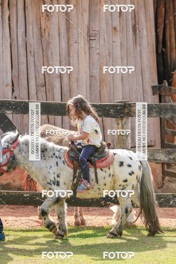 Buy your photos of the eventBeit Camp 2018 - 2 a 6 de julho - K3 a G5 on Fotop