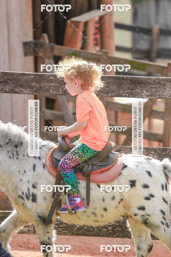 Buy your photos of the eventBeit Camp 2018 - 2 a 6 de julho - K3 a G5 on Fotop