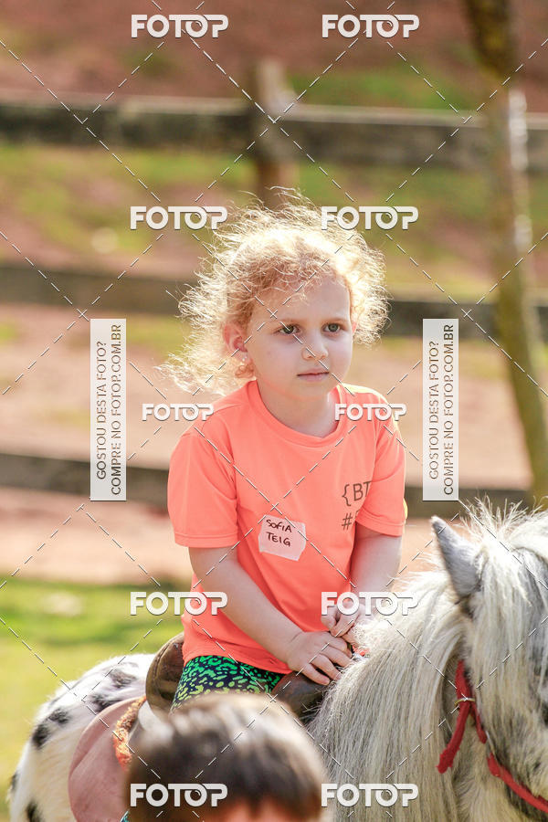 Buy your photos of the eventBeit Camp 2018 - 2 a 6 de julho - K3 a G5 on Fotop