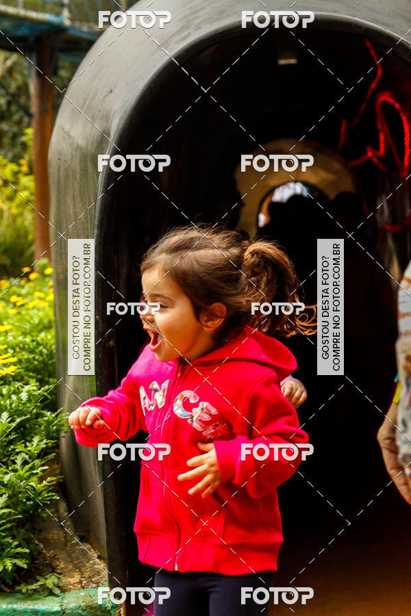 Buy your photos of the eventBeit Camp 2018 - 2 a 6 de julho - K3 a G5 on Fotop