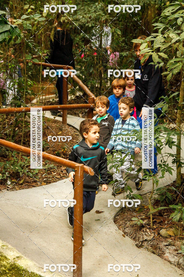 Buy your photos of the eventBeit Camp 2018 - 2 a 6 de julho - K3 a G5 on Fotop