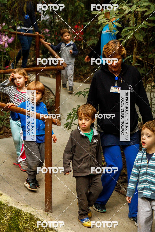 Buy your photos of the eventBeit Camp 2018 - 2 a 6 de julho - K3 a G5 on Fotop