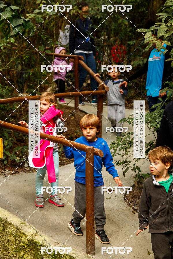 Buy your photos of the eventBeit Camp 2018 - 2 a 6 de julho - K3 a G5 on Fotop