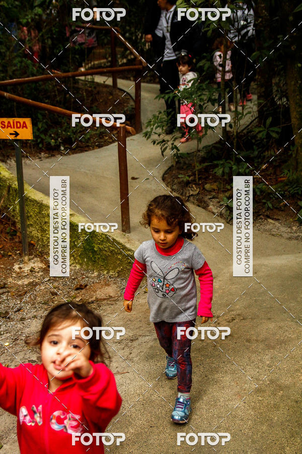 Buy your photos of the eventBeit Camp 2018 - 2 a 6 de julho - K3 a G5 on Fotop