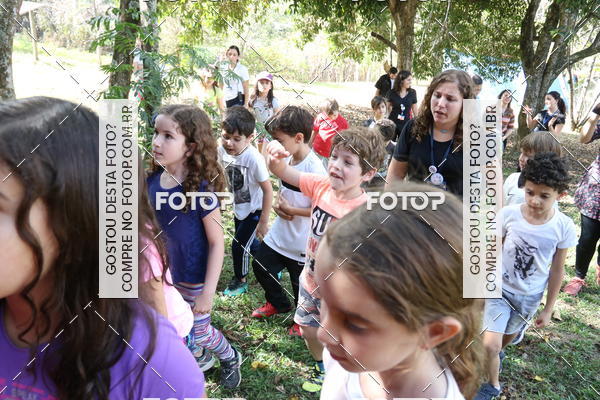 Buy your photos of the eventBeit Camp 2018 - 2 a 6 de julho - K3 a G5 on Fotop