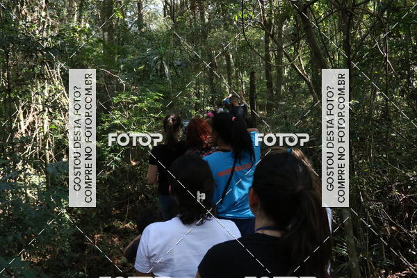 Buy your photos of the eventBeit Camp 2018 - 2 a 6 de julho - K3 a G5 on Fotop