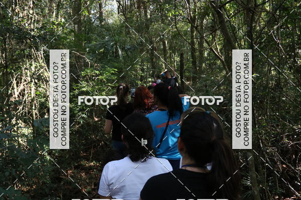 Buy your photos of the eventBeit Camp 2018 - 2 a 6 de julho - K3 a G5 on Fotop