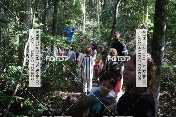 Buy your photos of the eventBeit Camp 2018 - 2 a 6 de julho - K3 a G5 on Fotop