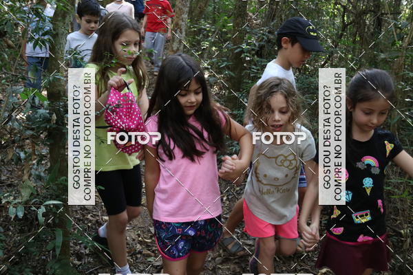 Buy your photos of the eventBeit Camp 2018 - 2 a 6 de julho - K3 a G5 on Fotop