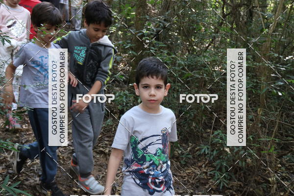 Buy your photos of the eventBeit Camp 2018 - 2 a 6 de julho - K3 a G5 on Fotop