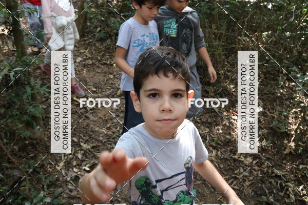 Buy your photos of the eventBeit Camp 2018 - 2 a 6 de julho - K3 a G5 on Fotop