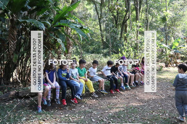 Buy your photos of the eventBeit Camp 2018 - 2 a 6 de julho - K3 a G5 on Fotop