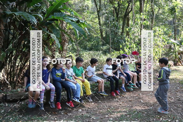 Buy your photos of the eventBeit Camp 2018 - 2 a 6 de julho - K3 a G5 on Fotop