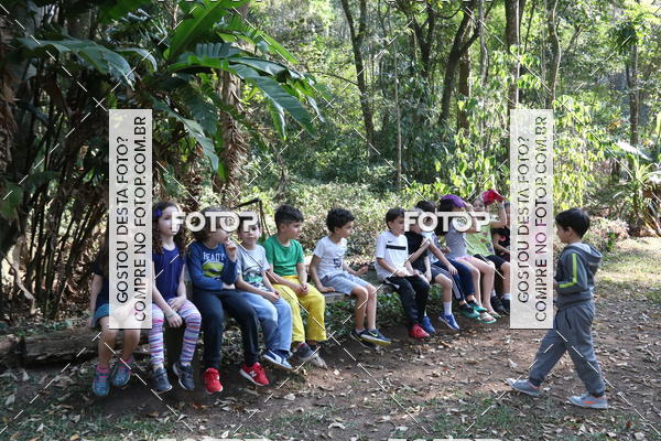 Buy your photos of the eventBeit Camp 2018 - 2 a 6 de julho - K3 a G5 on Fotop