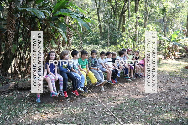 Buy your photos of the eventBeit Camp 2018 - 2 a 6 de julho - K3 a G5 on Fotop