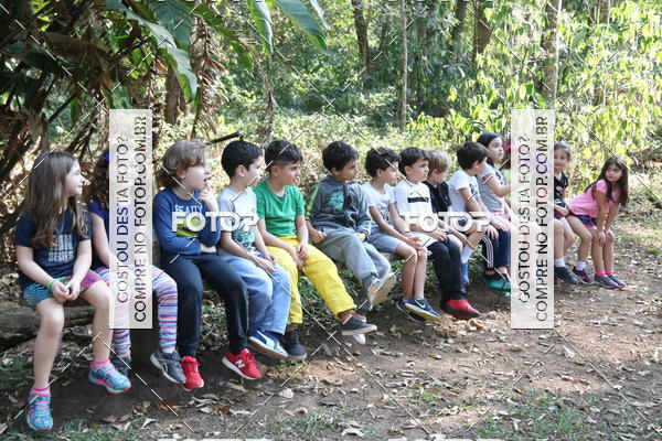 Buy your photos of the eventBeit Camp 2018 - 2 a 6 de julho - K3 a G5 on Fotop