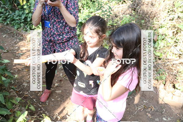 Buy your photos of the eventBeit Camp 2018 - 2 a 6 de julho - K3 a G5 on Fotop