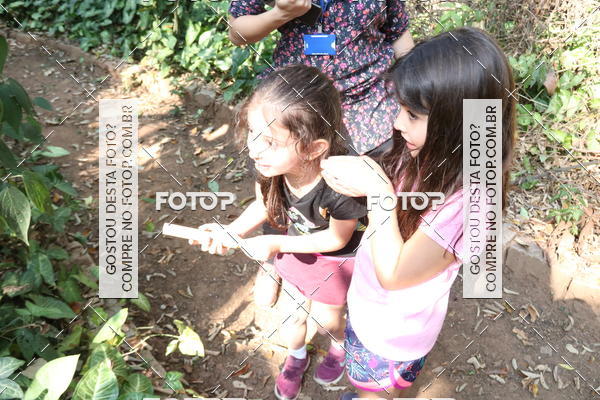 Buy your photos of the eventBeit Camp 2018 - 2 a 6 de julho - K3 a G5 on Fotop