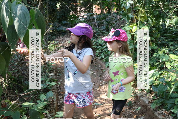 Buy your photos of the eventBeit Camp 2018 - 2 a 6 de julho - K3 a G5 on Fotop