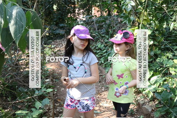 Buy your photos of the eventBeit Camp 2018 - 2 a 6 de julho - K3 a G5 on Fotop