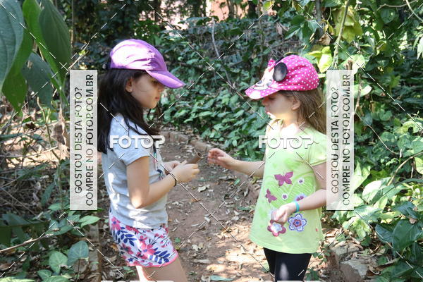 Buy your photos of the eventBeit Camp 2018 - 2 a 6 de julho - K3 a G5 on Fotop