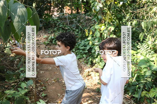 Buy your photos of the eventBeit Camp 2018 - 2 a 6 de julho - K3 a G5 on Fotop