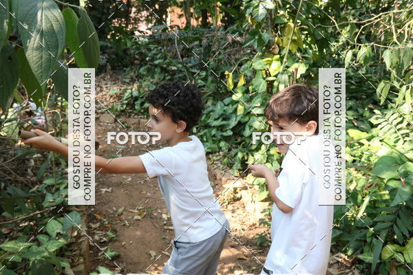 Buy your photos of the eventBeit Camp 2018 - 2 a 6 de julho - K3 a G5 on Fotop