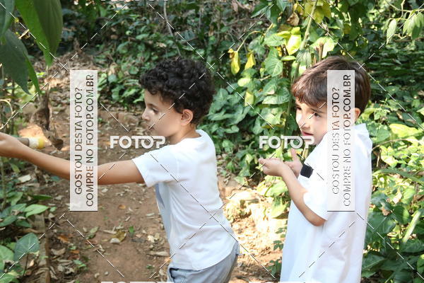 Buy your photos of the eventBeit Camp 2018 - 2 a 6 de julho - K3 a G5 on Fotop