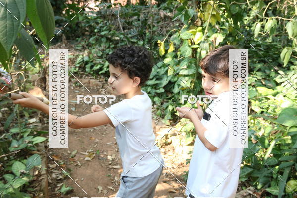 Buy your photos of the eventBeit Camp 2018 - 2 a 6 de julho - K3 a G5 on Fotop